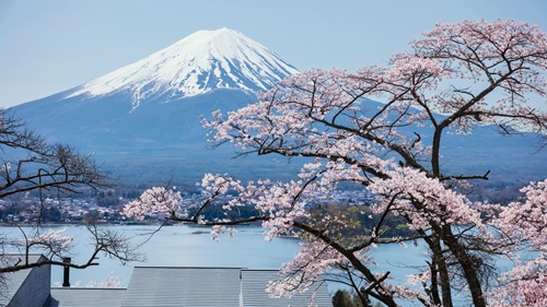 Extend Your Trip: Tour Around Asia with SIGN CHINA 2025