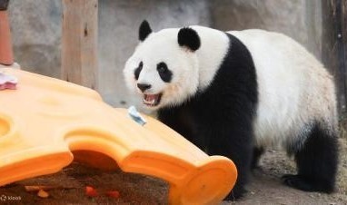 Discover the Fun at SIGN CHINA 2025 in Shanghai